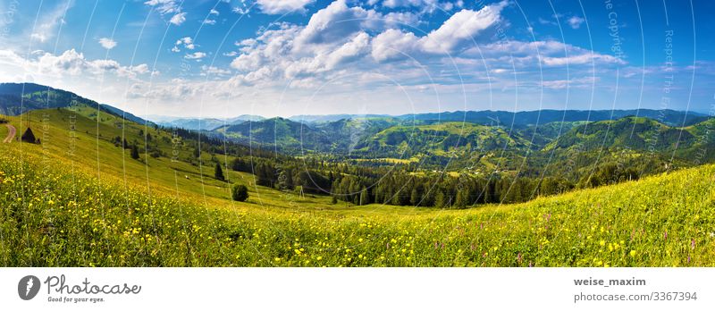 Bild: Flugperspektive Wald und Wiese
